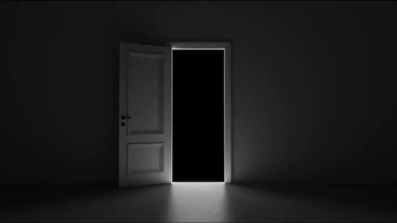 Copertina del libro La porta